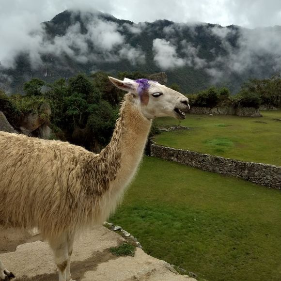 Meet your Posher, Eileen - Picture 1 of 1